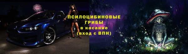 соль курить ск Козловка