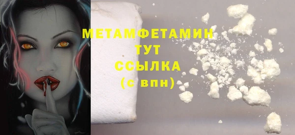 шишки Козельск