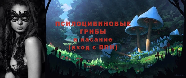 mdpv Кинешма