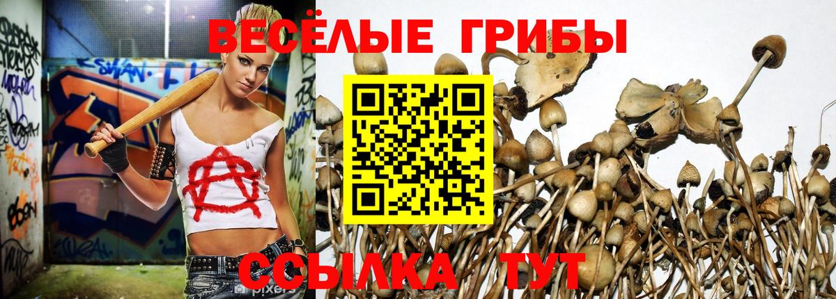 Галлюциногенные грибы прущие грибы Ливны